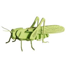 Modelo 3D de papel Saltamontes FRI-11608 Fridolin 1
