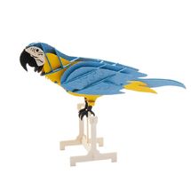 Modelo 3D de papel Papagayo FRI-11677 Fridolin 1
