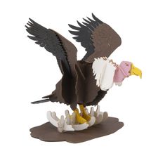 Modelo 3D de papel Buitre FRI-11741 Fridolin 1