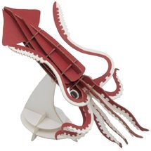 Modelo 3D de papel calamar FR-11743 Fridolin 1