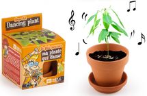 Cultivo mi planta de baile RC-028733 Radis et Capucine 1