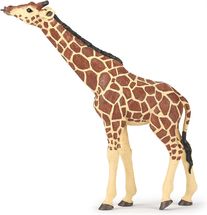Figura jirafa con cabeza levantada PA50236 Papo 1