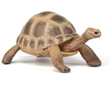 Figura de la tortuga de Hermann PA-50264 Papo 1