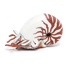 Estatuilla de Nautilus PA-56061 Papo 1