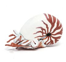 Estatuilla de Nautilus PA-56061 Papo 1