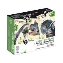 Caja de 3 puzzles y carteles de dinosaurios V9626 Vilac 1
