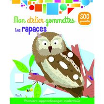 Coloridas pegatinas - Las aves rapaces PI-7248 Piccolia 1