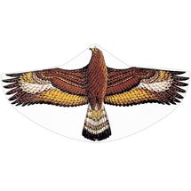 Cometa Águila Dorada GU-1146 Günther 1