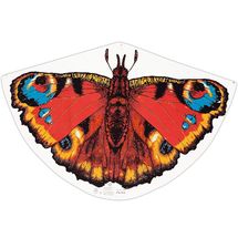 Cometa Mariposa GU-1103 Günther 1