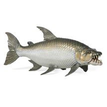 Figura de Pez Tigre Goliat PA-56065 Papo 1