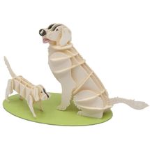 Modelo 3D de papel Golden Retriever FRI-11717 Fridolin 1