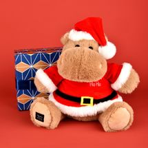 Peluche hipopótamo Kris Hug 20 cm HO3381 Histoire d'Ours 1