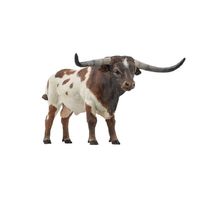 Figura de toro de cuernos largos PA-51156 Papo 1