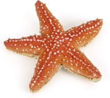 Estatuilla de estrella de mar PA-56050 Papo 1