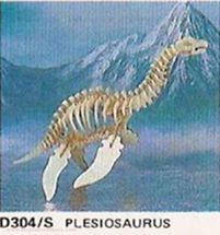 Plesiosaurus J0876-2574 Bones & More 1