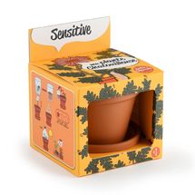 Je fais pousser mon Mimosa pudica RC-025965 Radis et Capucine 1