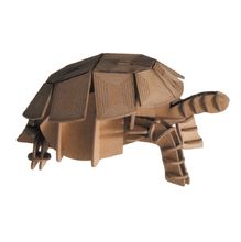 Modelo 3D de papel tortuga FR-11625 Fridolin 1