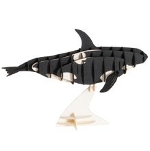 Modelo 3D de papel Orca FR-11634 Fridolin 1