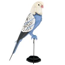 Modelo 3D de papel Periquito de color azul FRI-11733 Fridolin 1