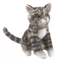 Marioneta de dedo Gato atigrado FO-2791 Folkmanis 1