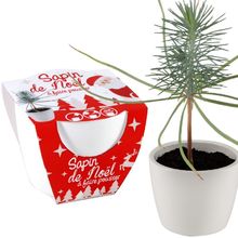 Maceta de cerámica blanca de 8 cm - Árbol de Navidad RC-032835 Radis et Capucine 1