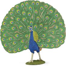 figura de pavo real PA51161-3519 Papo 1