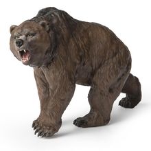Figura del oso de las cavernas PA55066 Papo 1