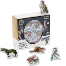 Imanes zoológicos Buffon V9622 Vilac 1
