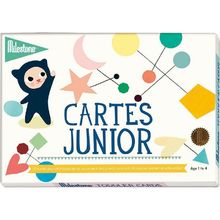 Tarjetas de recuerdo - Junior M-6066 Milestone 1