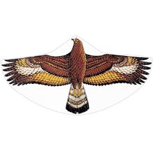 Cometa Águila Dorada GU-1146 Günther 1