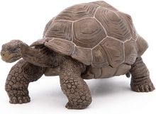 Figura de tortuga de Galápagos PA50161-3929 Papo 1