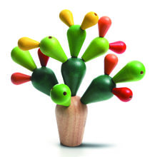 Cactus Mikado PT4101 Plan Toys 1