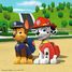 Puzzle Perros de la Paw Patrol 3x49 pcs RAV-09239 Ravensburger 2