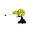 Modelo 3D de papel camaleón FR-11613 Fridolin 2