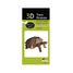 Modelo 3D de papel tortuga FR-11625 Fridolin 2