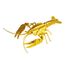 Modelo 3D de papel Langosta FR-11629 Fridolin 1