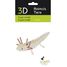 Modelo 3D de papel Axolotl FR-11755 Fridolin 2