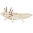 Modelo 3D de papel Axolotl FR-11755 Fridolin 1