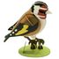 Modelo 3D de papel Jilguero FRI-11765 Fridolin 1