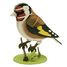 Modelo 3D de papel Jilguero FRI-11765 Fridolin 2