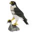 Modelo 3D de papel halcón FRI-11766 Fridolin 1