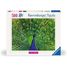 Puzzle Pavo real 500 pzs RAV12001332 Ravensburger 1