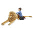 León de peluche gigante de 1,30 m MD12102 Melissa & Doug 2