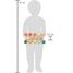 Memo táctil Sensory LE12467 Small foot company 5