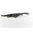 Nothosaurus SC-15031 Schleich 3