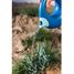 Regadera grande Cana - Ocean QU-172406 Quut 7