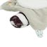 Doudou Gaston el mapache K205001 Kaloo 7