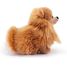 Peluche Perro Pomerania 22 cm TRU-22347 Trudi 2
