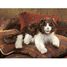 Marioneta de mano Gato Ragdoll FO-2558 Folkmanis 3