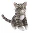 Marioneta de dedo Gato atigrado FO-2791 Folkmanis 1